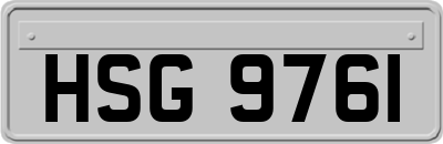 HSG9761