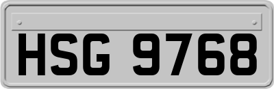 HSG9768