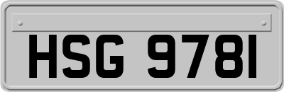 HSG9781