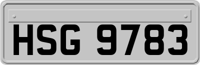HSG9783