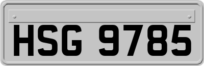 HSG9785