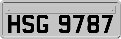 HSG9787