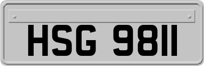 HSG9811