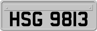 HSG9813