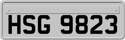 HSG9823