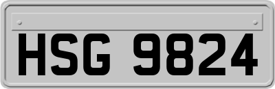 HSG9824