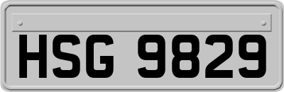HSG9829