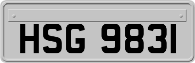 HSG9831