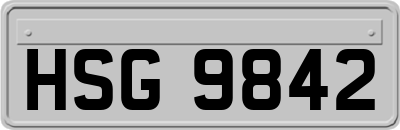 HSG9842