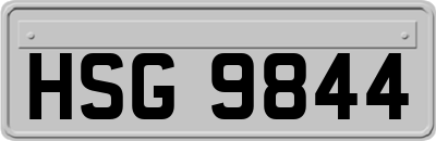 HSG9844