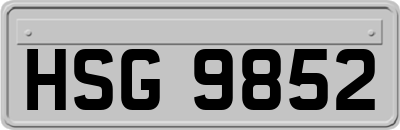 HSG9852