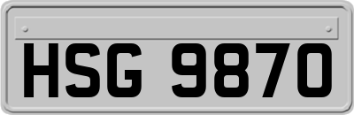 HSG9870