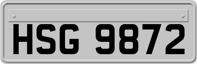 HSG9872