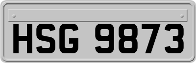 HSG9873
