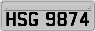 HSG9874