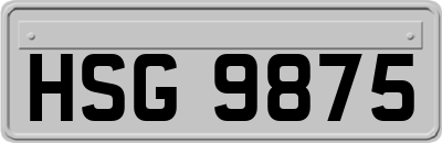 HSG9875