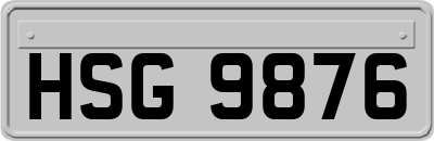 HSG9876