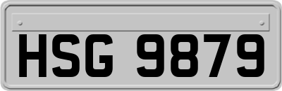 HSG9879