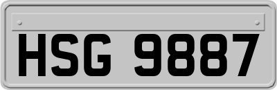 HSG9887