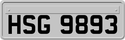 HSG9893