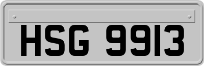 HSG9913