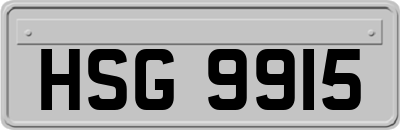 HSG9915