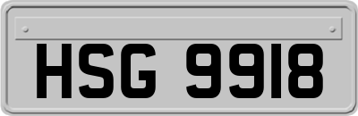 HSG9918