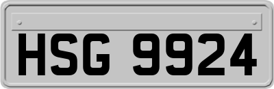 HSG9924