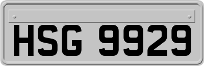 HSG9929