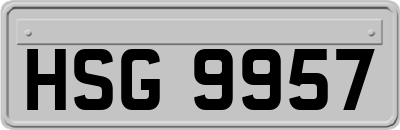 HSG9957