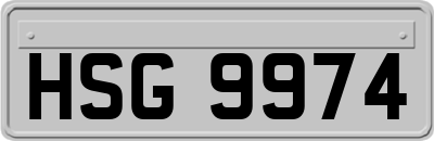 HSG9974