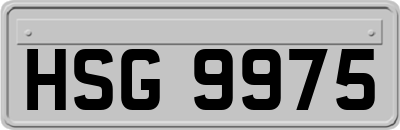 HSG9975