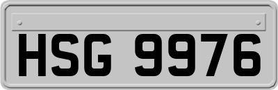HSG9976
