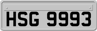 HSG9993