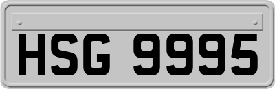 HSG9995