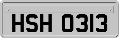 HSH0313