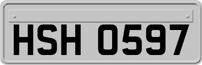 HSH0597