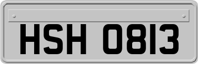 HSH0813