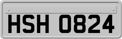 HSH0824