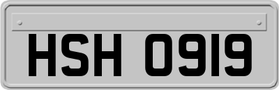 HSH0919