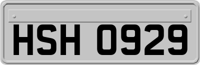 HSH0929