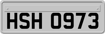 HSH0973
