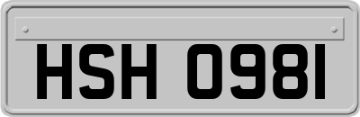 HSH0981