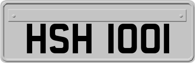 HSH1001