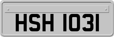 HSH1031