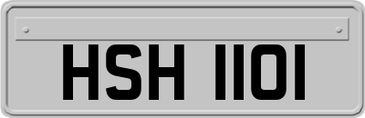 HSH1101