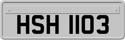 HSH1103