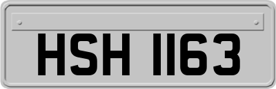 HSH1163