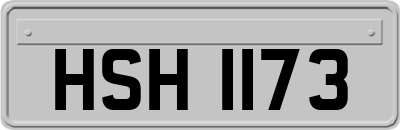 HSH1173