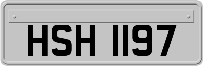 HSH1197